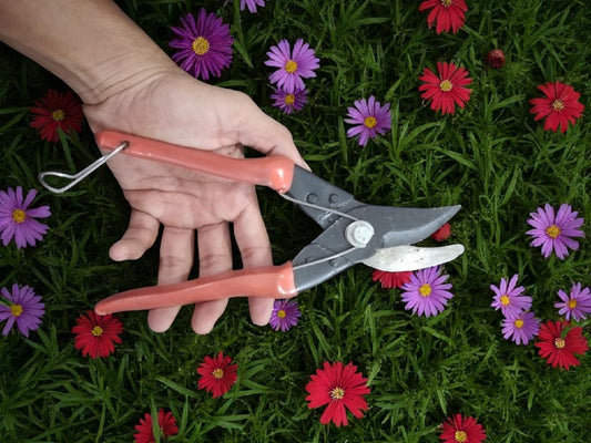 AGT® 2 Piece Garden Tool Set A3 Garden Tool Kit – Durable, Rust-Resistant Tools for Home Gardening in India