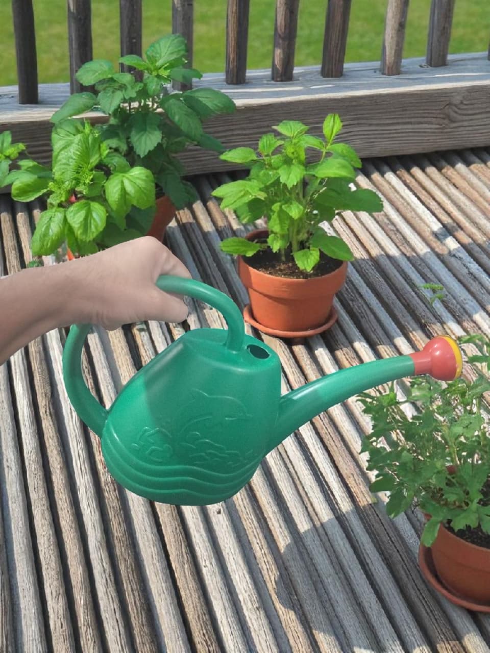 AGT®  5 Litre Green Plastic Watering Can with Long Spout | Gardening Water Can for Home, Balcony & Indoor Plants