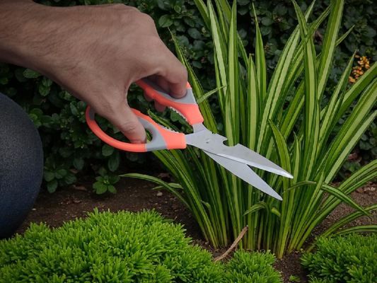 AGT® 4 Piece Garden Tool Set A25 Garden Tool Kit – Durable, Rust-Resistant Tools for Home Gardening in India