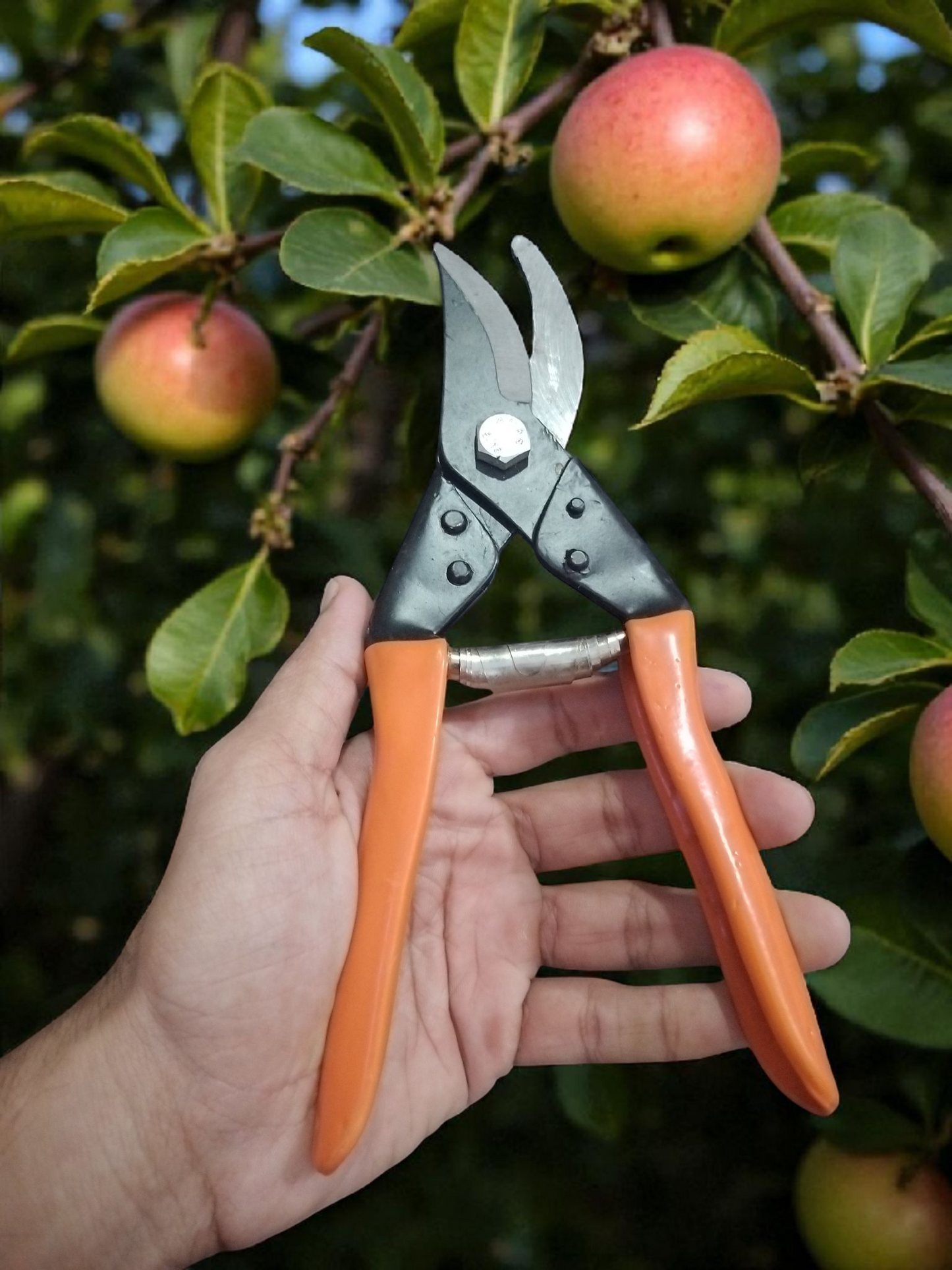 AGT® 2 Piece Garden Tool Set A33 Garden Tool Kit – Durable, Rust-Resistant Tools for Home Gardening in India
