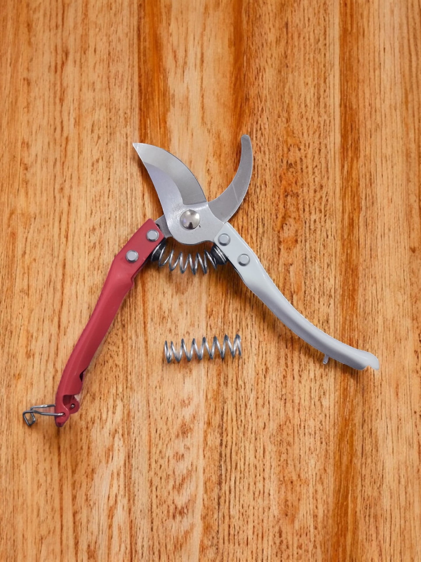 AGT Heavy-Duty Flower Cutter | Premium Garden Pruning Scissor with Extra Spring for Plants & Branches