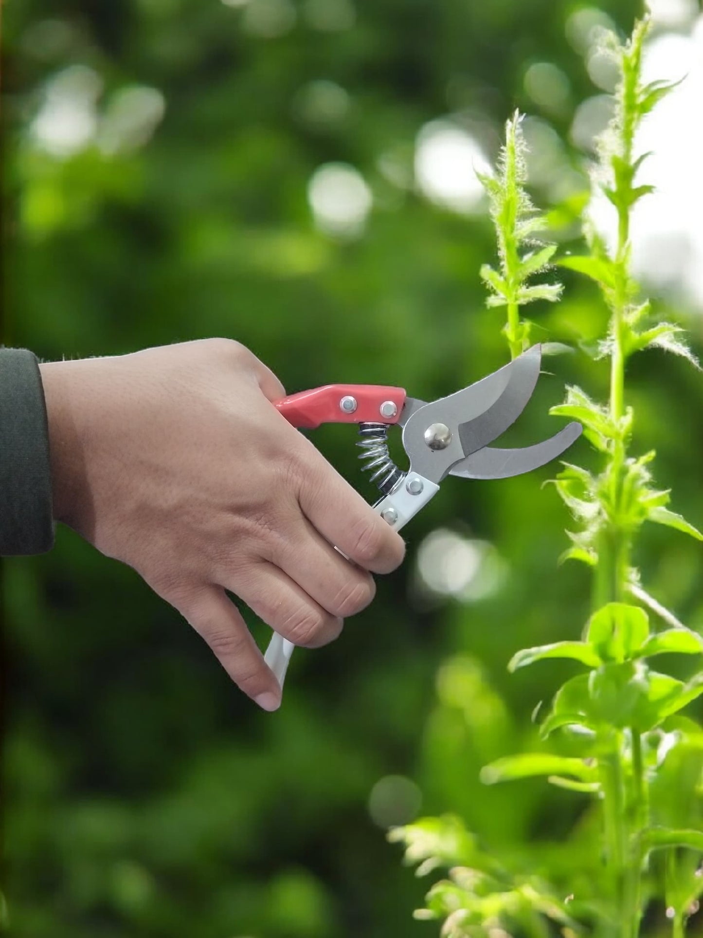 AGT Heavy-Duty Flower Cutter | Premium Garden Pruning Scissor with Extra Spring for Plants & Branches