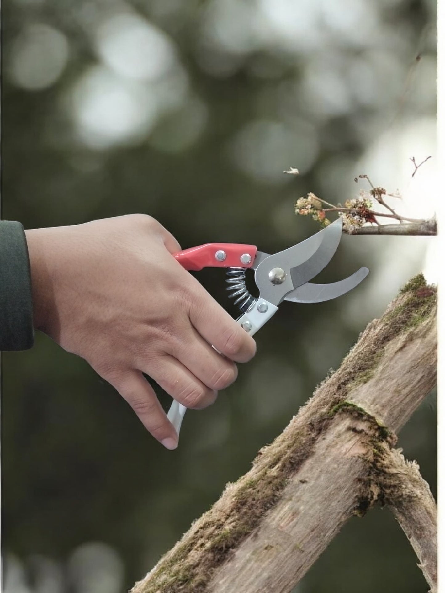 AGT Heavy-Duty Flower Cutter | Premium Garden Pruning Scissor with Extra Spring for Plants & Branches